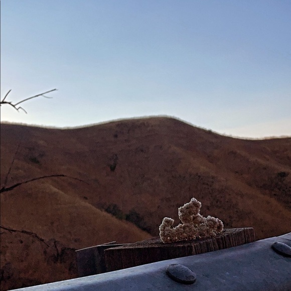 Meet your Posher, Alice - Picture 2 of 2